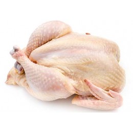 Poultry