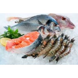 Frozen Fish